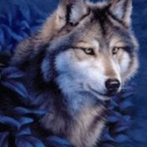 Meet your Posher, Tim